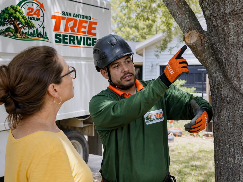 Arborist explaining a branch union and planned pruning cuts beside a mature tree