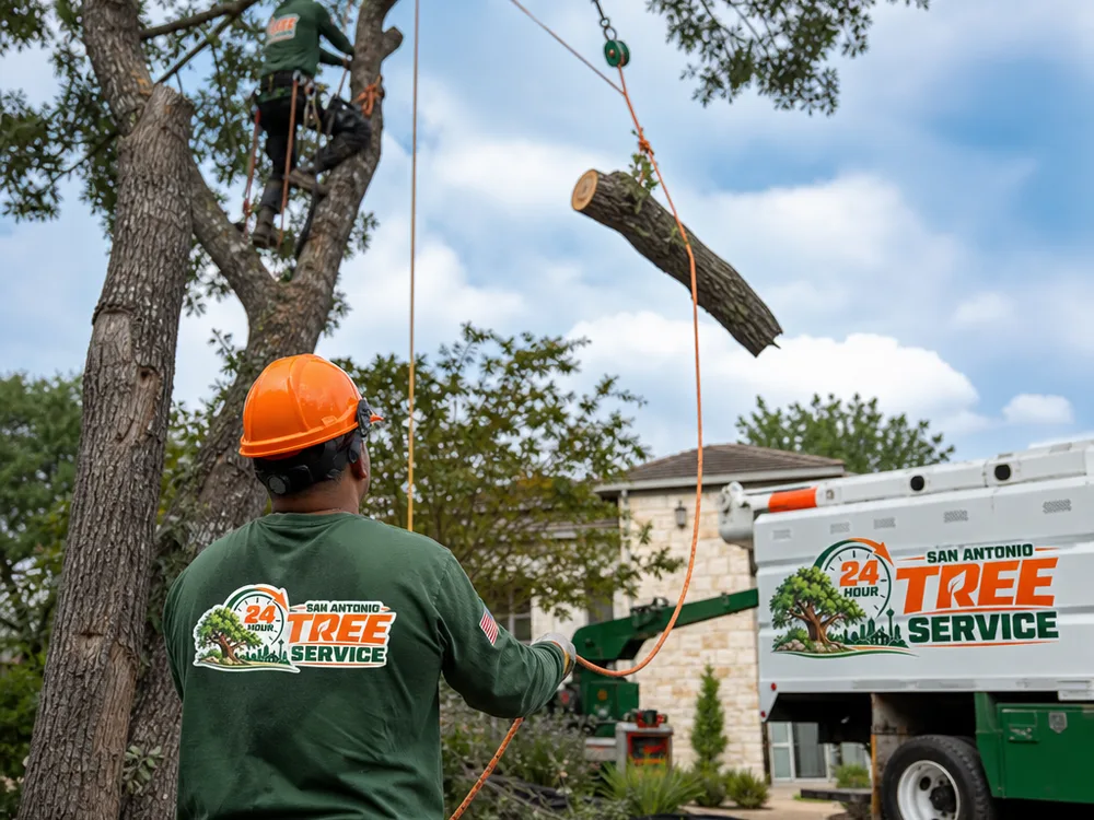 Climber using a rope and rigging block while a ground worker controls a limb over a protected drop zone