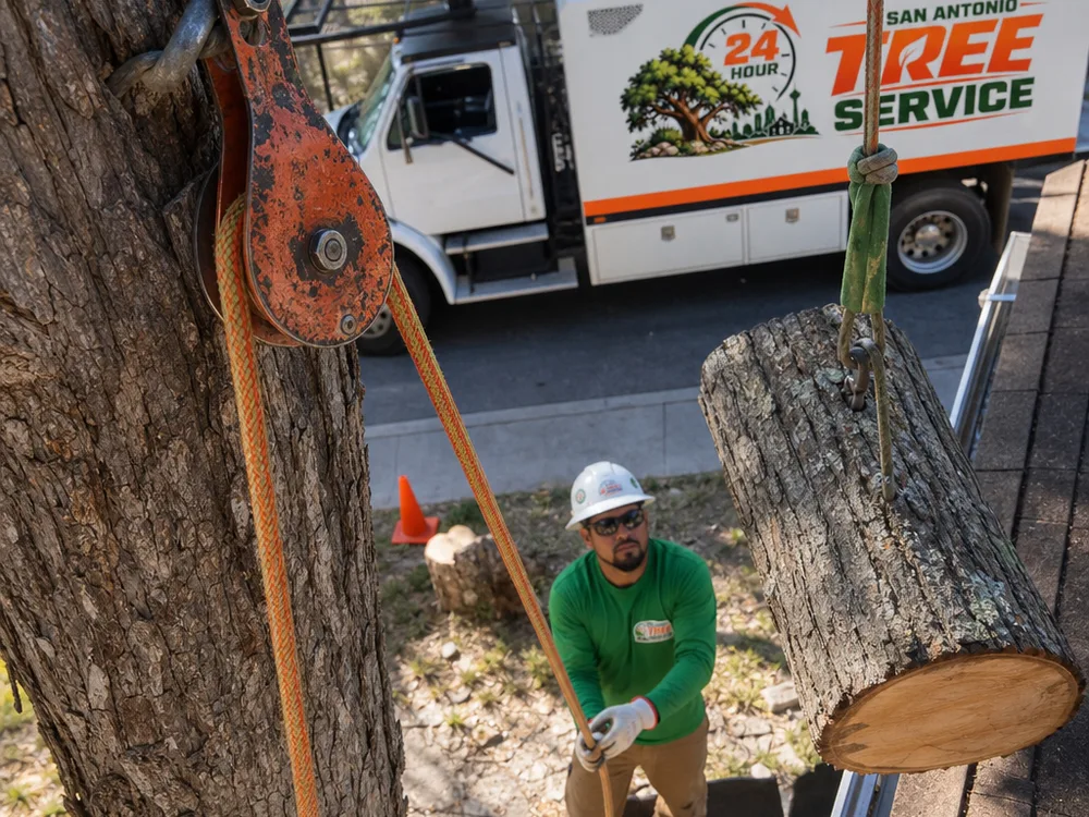 Rigging rope and block lowering a cut tree section away from a roof while a ground worker controls the line