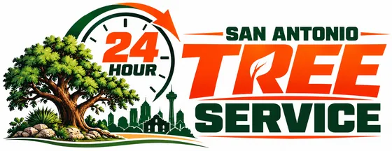 24 Hour Tree Service San Antonio